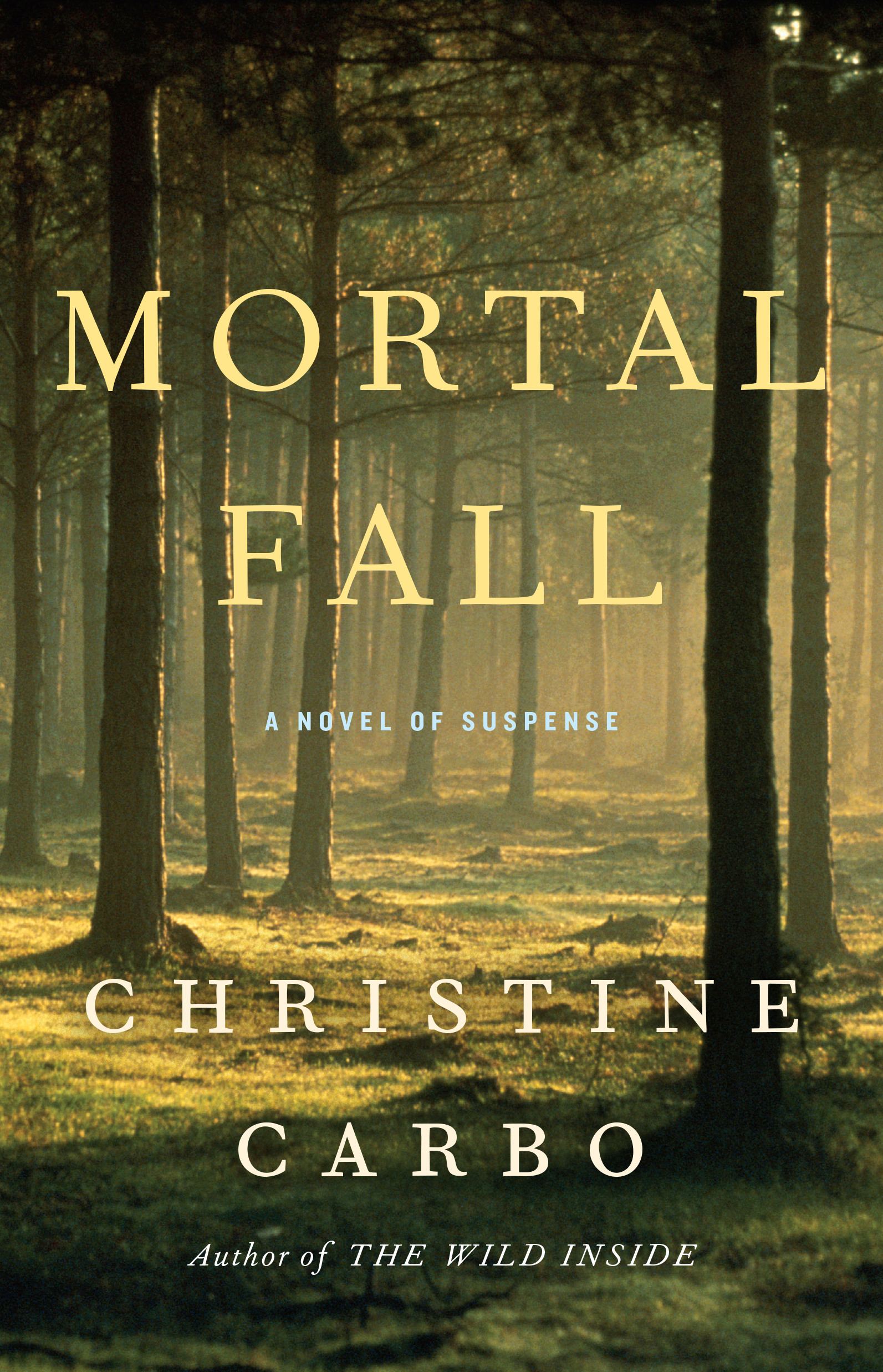 Mortal Fall book cover